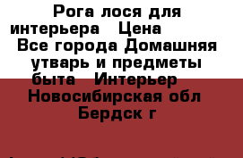 Рога лося для интерьера › Цена ­ 3 300 - Все города Домашняя утварь и предметы быта » Интерьер   . Новосибирская обл.,Бердск г.